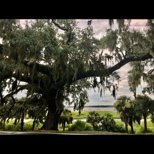 Meet your Posher, Sally